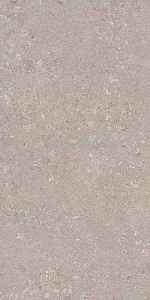 HERITAGE GREY 60x120 SPAZZOLATO R10 04