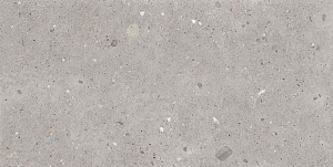 GRIGIO NATURALE 60 x 120 EGP1