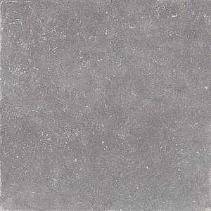 NOBLE LAPPATO VELOUTÈ GRIS 120 x 120 EHLC