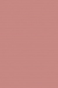 ROSA LISCIO 40X60 VERTICALE