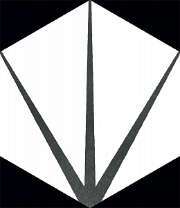 STARLINE WHITE NATURAL HEXAGON 29х25