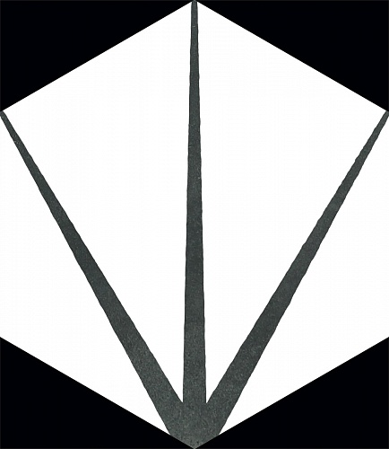 STARLINE WHITE NATURAL HEXAGON 29х25