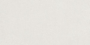FINE GRAIN WHITE NATURALE 60 x 120 E097