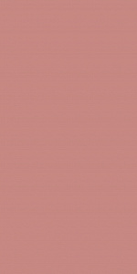 ROSA LISCIO 20X40 VERT