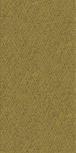 ZINC GOLD SKIN 60X120