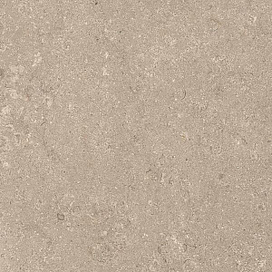 HERITAGE BEIGE 60x60 STRUCTURED R11 10