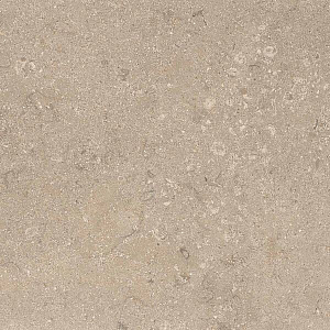 HERITAGE BEIGE 60x60 STRUCTURED R11 02