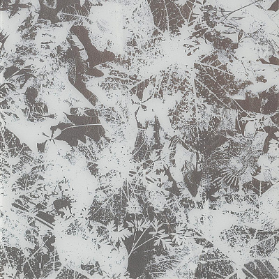 RICORDO WHITE ELE-TORTORA