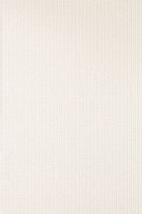 PHENOMENON ROCK MOSAICO