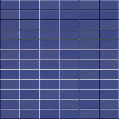 ANTHOLOGHIA 2024 AGAPANTO 5X10