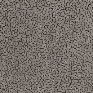 ZOOM REEF SHADE RTT 60X60 LGWC3Z4