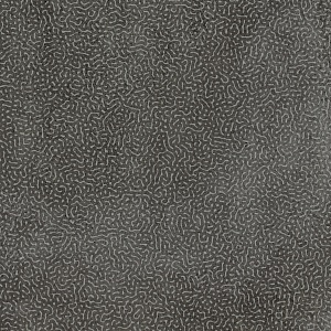 REEF CONCRETO DARK 60X60 LGWC3D0