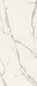 MAXXI STATUARIO BRILLANTE 120x278