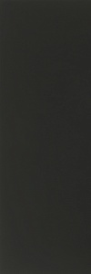 TOTAL BLACK SAT 5P 300X100X5,5 LSAAB10