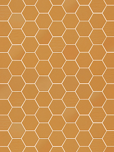 Hexa Yellow Corn mosaic mix