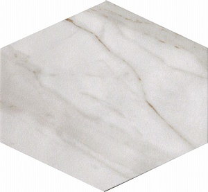 EXAGON LUCIDATO 34X29