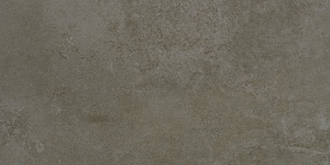 EVOLUTION MOSS LAPPATO  60х30