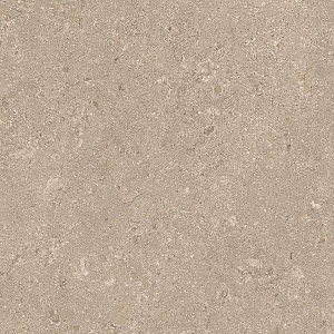 HERITAGE BEIGE 60x60 SPAZZOLATO R10 08