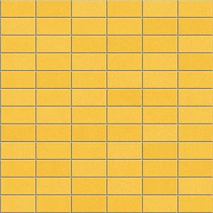 ANTHOLOGHIA 2029 MIMOSA 5X10