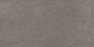 LAVIKA TAUPE 60 x 120 EFPV