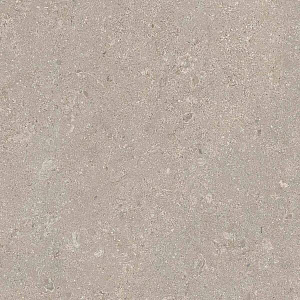 HERITAGE GREY 60x60 STRUCTURED R11 09