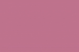 ROSA LISCIO 40X60