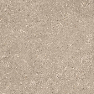 HERITAGE BEIGE 60x60 SPAZZOLATO R10 07
