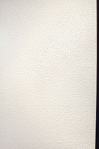 PHENOMENON HONEYCOMB B MOSAICO