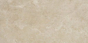 EVOLUTION BEIGE LAPPATO 60х30