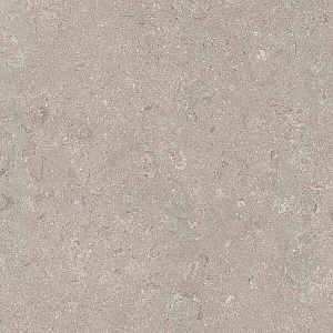 HERITAGE GREY 60x60 SPAZZOLATO R10 10