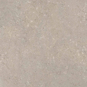 HERITAGE GREY 120x120 SPAZZOLATO R10 07