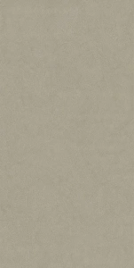 Plaster Bone