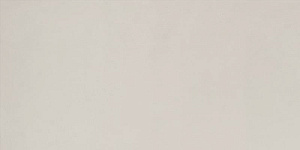 ELEMENTS DESIGN SILVER NATURAL 30X60 R9