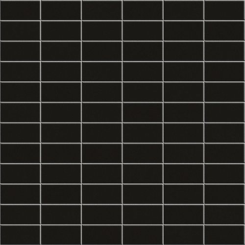 ANTHOLOGHIA 2010 TULIPANO NERO 5X10