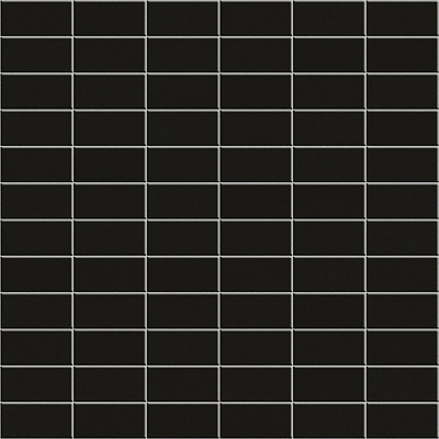 ANTHOLOGHIA 2010 TULIPANO NERO 5X10