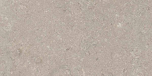 HERITAGE GREY 30x60 STRUCTURED R11 10