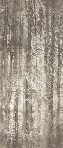 MAXXI WOOD FOG 120x278