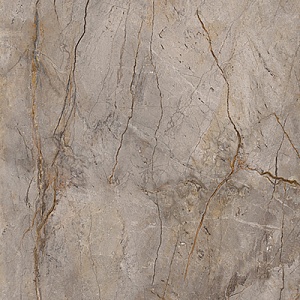 WILD FOREST GREY PULIDO 60X60