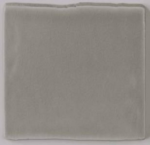 ADNT1003 Nature Liso Smoke 15X15