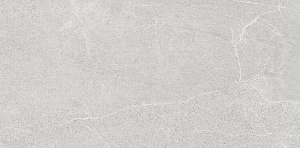 BURLINGTON GREY WB RECT MATT 29,5x59,5 - B115