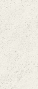 MAXXI CARRARA SILK 120x278