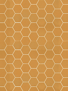 Hexa Yellow Corn mosaic