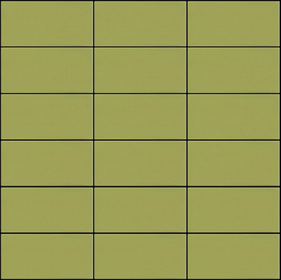 SETA 2011 PRIMAVERA 5X10