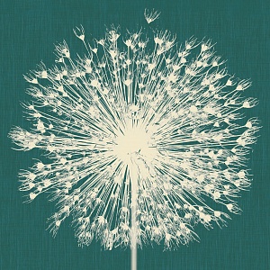 Codice Prodotto Breath INKNNLM1403