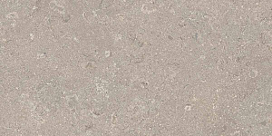 HERITAGE GREY 30x60 SPAZZOLATO R10 07