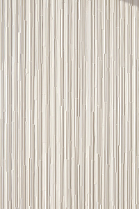 PHENOMENON RAIN A MOSAICO