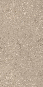 HERITAGE BEIGE 60x120 SPAZZOLATO R10 05