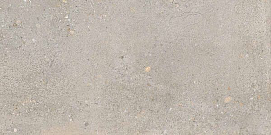 DISTRICT SILVER 30x60 SPAZZOLATO R10 02