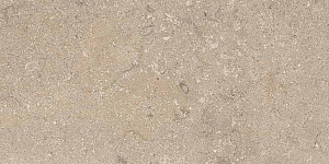 HERITAGE BEIGE 30x60 STRUCTURED R11 03