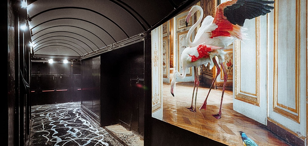 Реализованные проекты